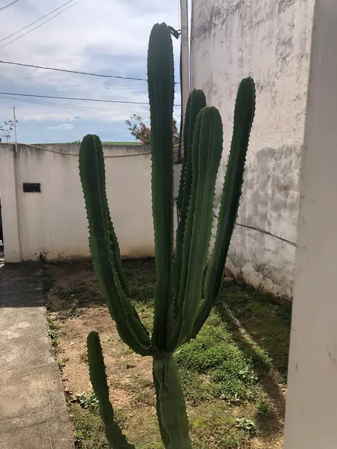 Foto 4 de Sobrado com 3 quartos à venda, 112m2 em Pindamonhangaba - SP