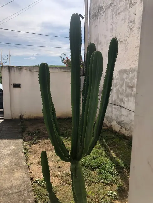 Foto 5 de Sobrado com 3 quartos à venda, 112m2 em Pindamonhangaba - SP