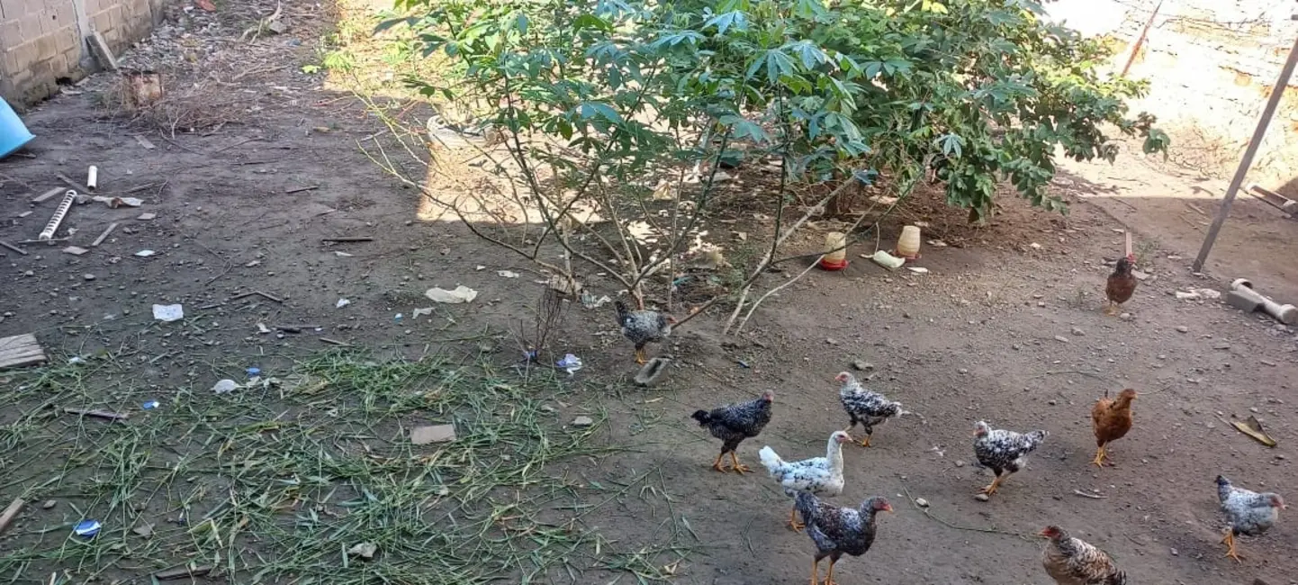 Foto 9 de Sobrado com 5 quartos à venda, 310m2 em Jardim Rosely, Pindamonhangaba - SP