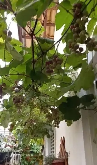 Foto 7 de Casa com 3 quartos à venda, 125m2 em Jardim Hípica Pinheiro, Taubate - SP