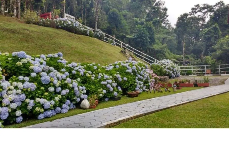 Foto 7 de Sobrado com 3 quartos à venda, 287m2 em Monteiro Lobato - SP