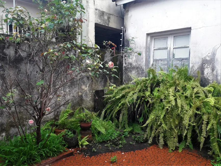 Foto 7 de Casa com 4 quartos à venda, 1000m2 em Centro, Taubate - SP