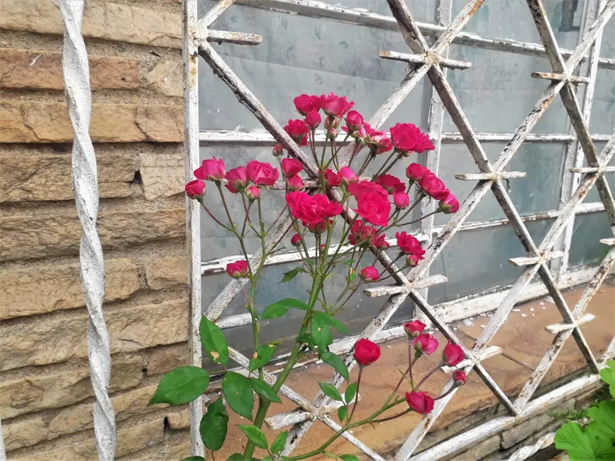 Foto 6 de Casa com 4 quartos à venda, 1000m2 em Centro, Taubate - SP