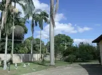 Imagem 10