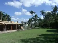 Imagem 8