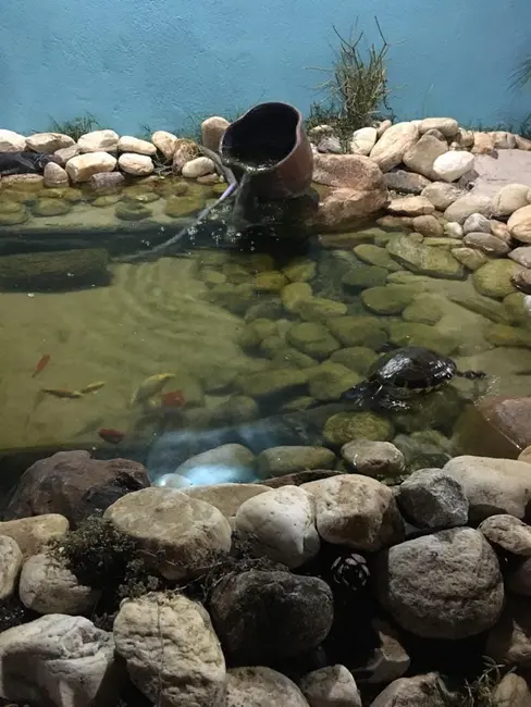 Foto 6 de Casa com 2 quartos à venda, 147m2 em Potim - SP