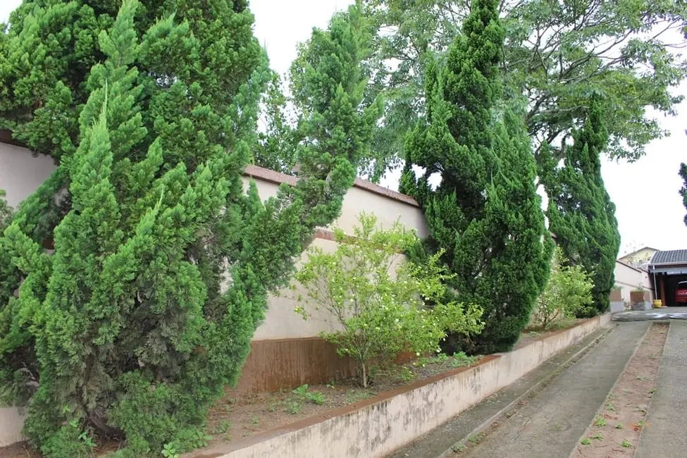 Foto 2 de Casa com 6 quartos à venda, 400m2 em Santana, Pindamonhangaba - SP