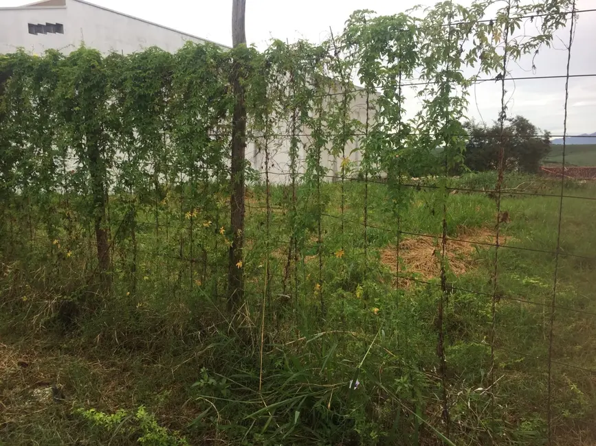 Foto 1 de Terreno / Lote à venda, 250m2 em Pindamonhangaba - SP