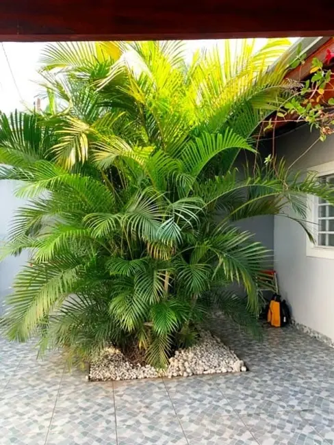 Foto 3 de Casa com 2 quartos à venda, 137m2 em Residencial Parque das Palmeiras, Pindamonhangaba - SP