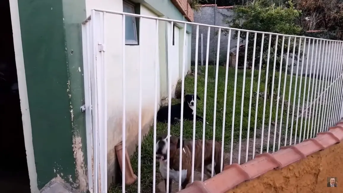 Foto 7 de Casa com 3 quartos à venda, 214m2 em Borba, Pindamonhangaba - SP