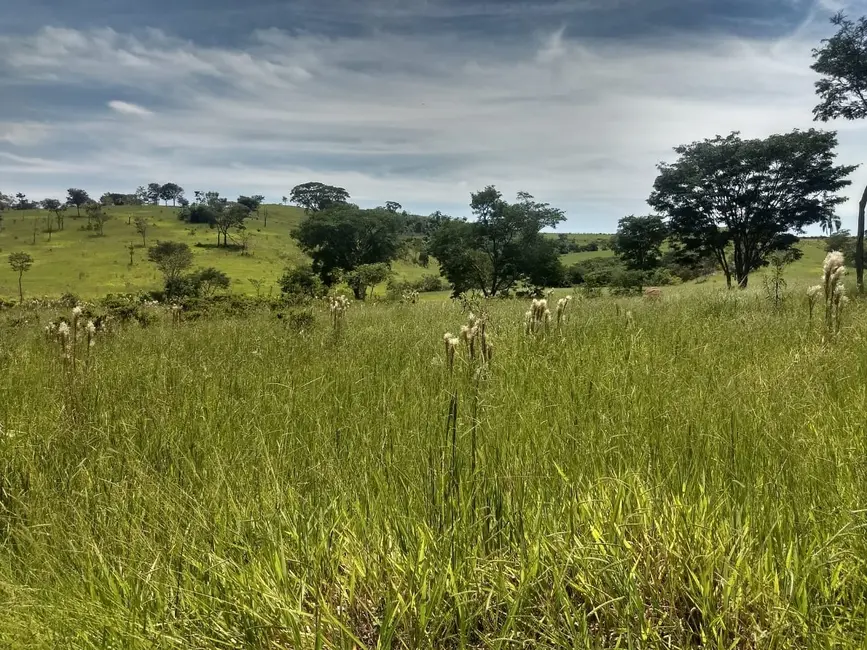 Foto 5 de Sítio / Rancho à venda, 400000m2 em Barreiro, Taubate - SP