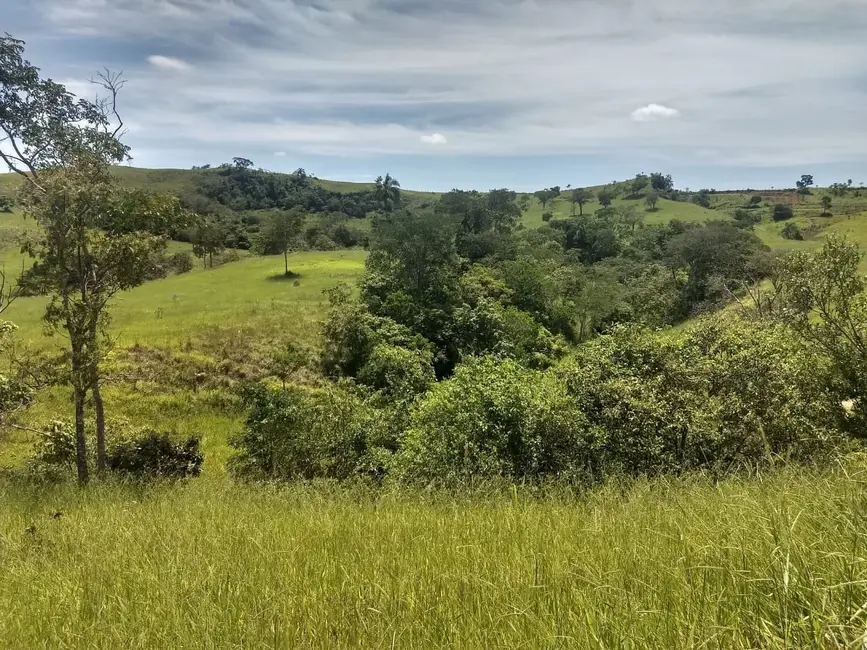 Foto 7 de Sítio / Rancho à venda, 400000m2 em Barreiro, Taubate - SP