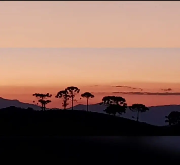 Foto 2 de Sítio / Rancho com 2 quartos à venda, 238600m2 em Silveiras - SP