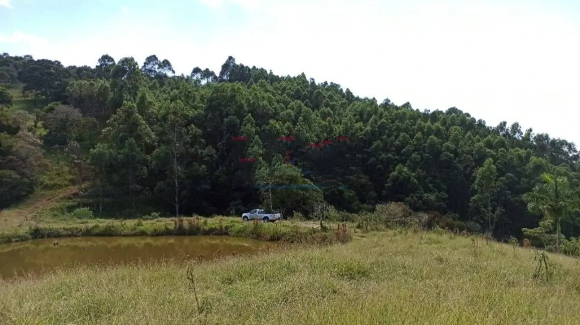 Sítio / Rancho com 3 quartos à venda, 290400m2 em Paraisopolis - MG - imagem 5 Foto 5 de Sítio / Rancho com 3 quartos à venda, 290400m2 em Paraisopolis - MG