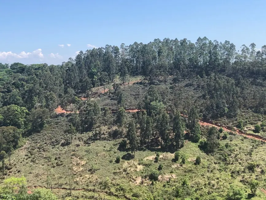 Sítio / Rancho com 1 quarto à venda, 216000m2 em Pindamonhangaba - SP - imagem 9 Foto 9 de Sítio / Rancho com 1 quarto à venda, 216000m2 em Pindamonhangaba - SP