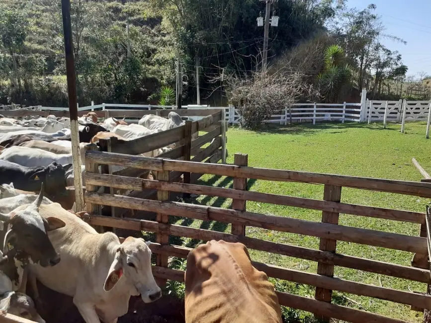 Foto 5 de Sítio / Rancho à venda, 484000m2 em Cruz Pequena, Pindamonhangaba - SP