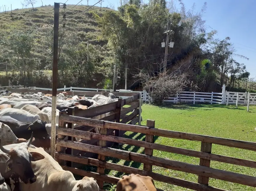 Foto 1 de Sítio / Rancho à venda, 484000m2 em Cruz Pequena, Pindamonhangaba - SP