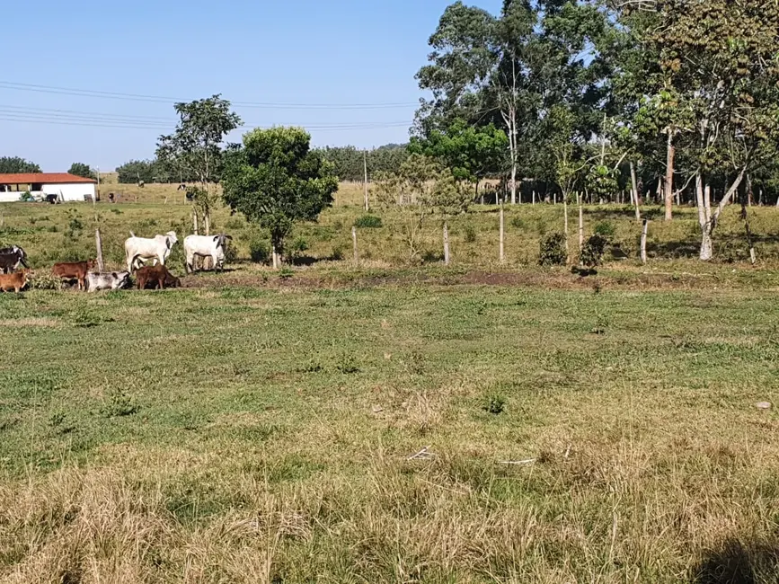 Sítio / Rancho com 2 quartos à venda, 50000m2 em Potim - SP - imagem 9 Foto 9 de Sítio / Rancho com 2 quartos à venda, 50000m2 em Potim - SP