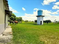 Imagem 10
