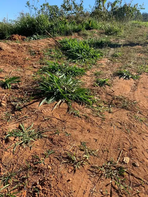 Foto 11 de Chácara à venda em Pindamonhangaba - SP
