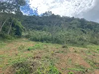 Imagem 19