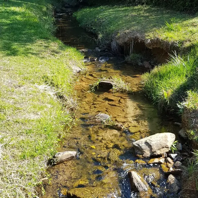 Foto 2 de Chácara com 2 quartos à venda, 180m2 em Pindamonhangaba - SP