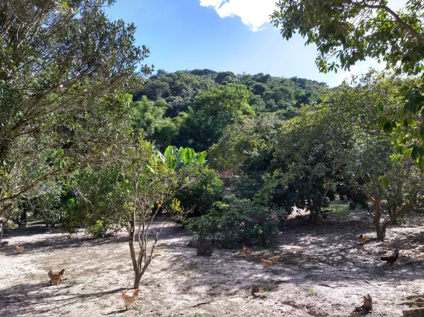 Foto 2 de Sítio / Rancho com 2 quartos à venda, 65000m2 em Taubate - SP
