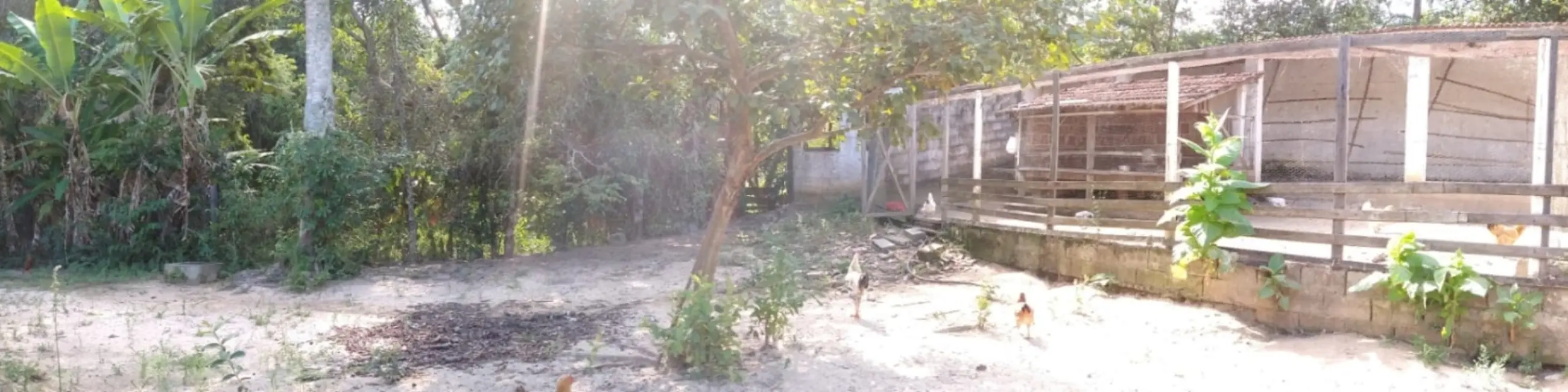 Foto 3 de Sítio / Rancho com 2 quartos à venda, 65000m2 em Taubate - SP