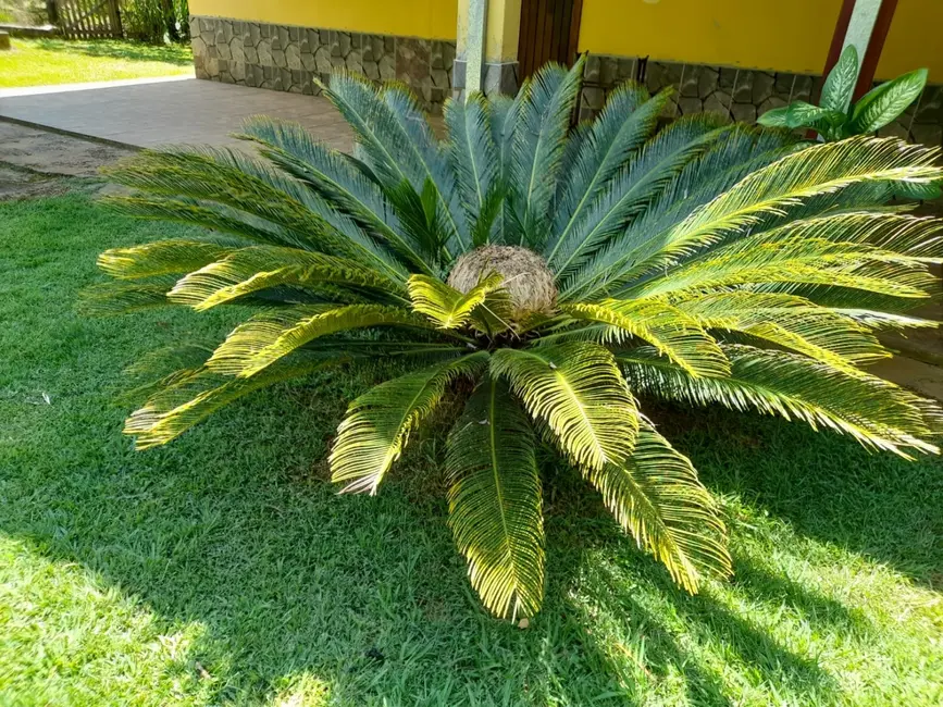 Foto 4 de Chácara com 3 quartos à venda, 8600m2 em Goiabal, Pindamonhangaba - SP