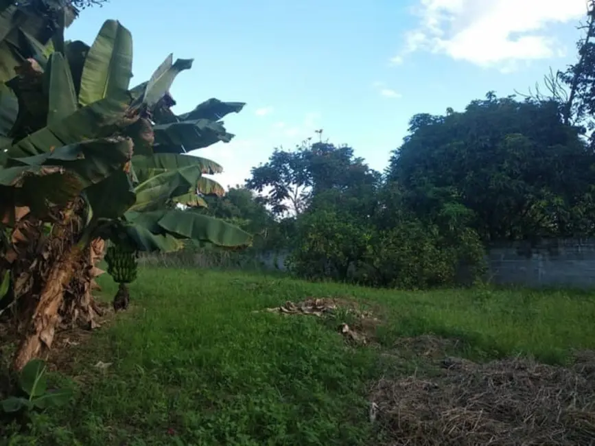 Foto 6 de Chácara com 3 quartos à venda, 250m2 em Goiabal, Pindamonhangaba - SP