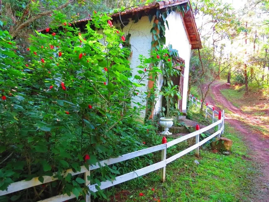 Foto 2 de Chácara à venda, 145200m2 em Guaratingueta - SP