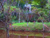 Imagem 11