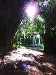 Imagem 12