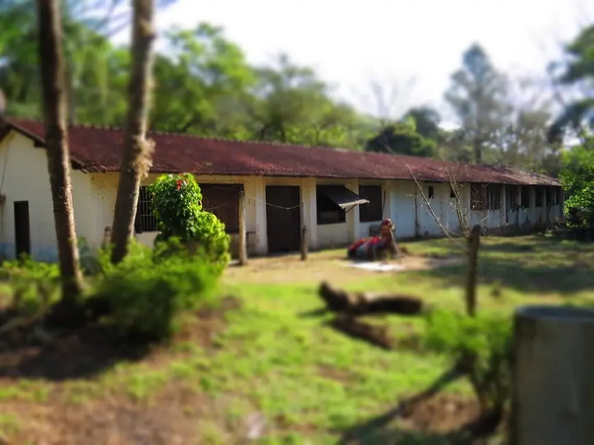 Chácara à venda, 145200m2 em Guaratingueta - SP - imagem 6 Foto 6 de Chácara à venda, 145200m2 em Guaratingueta - SP