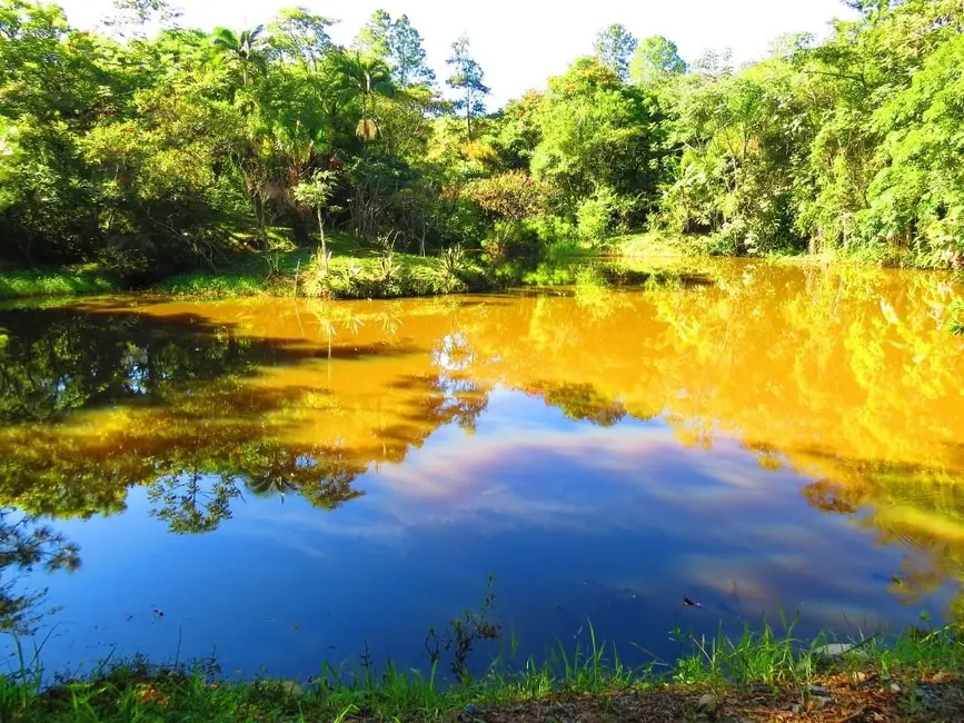 Foto 8 de Chácara à venda, 145200m2 em Guaratingueta - SP