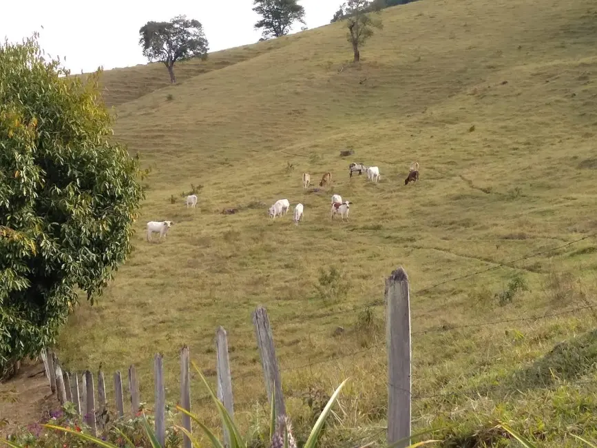 Foto 6 de Chácara à venda, 106m2 em Silveiras - SP