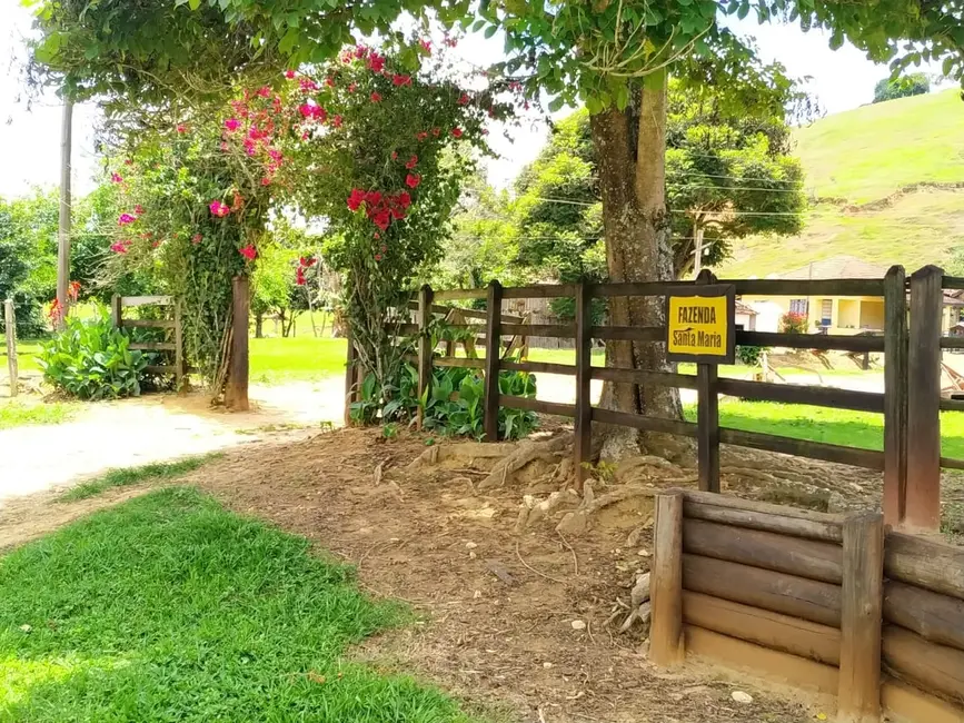 Foto 39 de Chácara à venda, 106m2 em Silveiras - SP