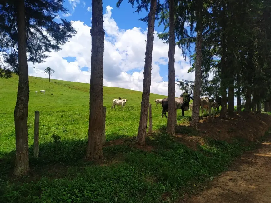 Foto 1 de Chácara à venda, 2556m2 em Silveiras - SP