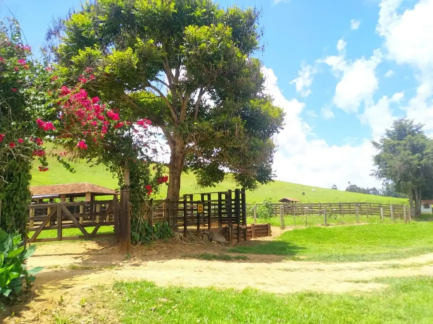 Foto 4 de Chácara à venda, 106m2 em Silveiras - SP