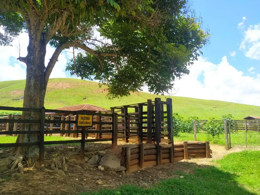 Foto 45 de Chácara à venda, 106m2 em Silveiras - SP