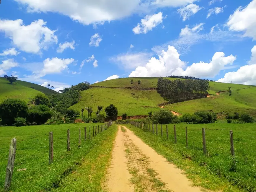 Foto 49 de Chácara à venda, 106m2 em Silveiras - SP