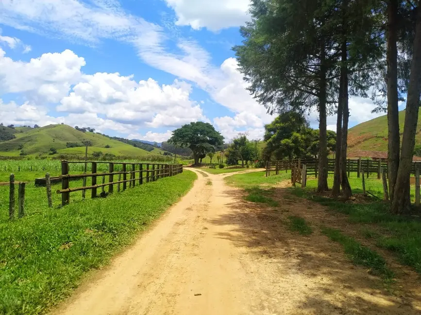 Foto 51 de Chácara à venda, 106m2 em Silveiras - SP