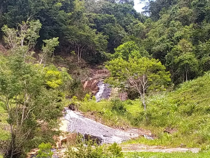 Foto 17 de Chácara à venda, 106m2 em Silveiras - SP