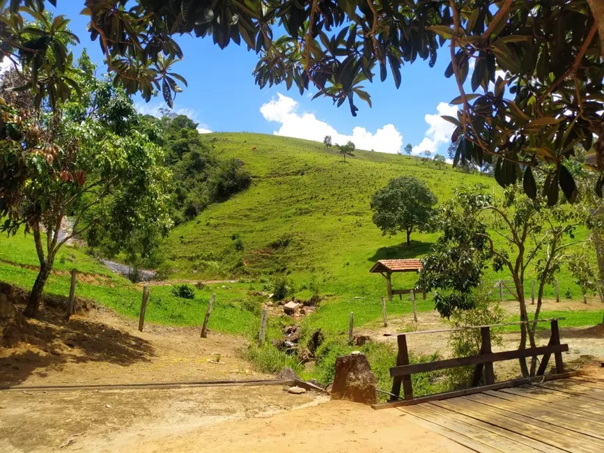 Foto 21 de Chácara à venda, 106m2 em Silveiras - SP
