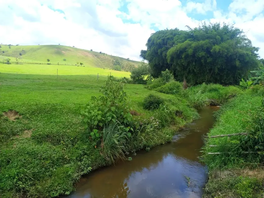 Foto 46 de Chácara à venda, 106m2 em Silveiras - SP