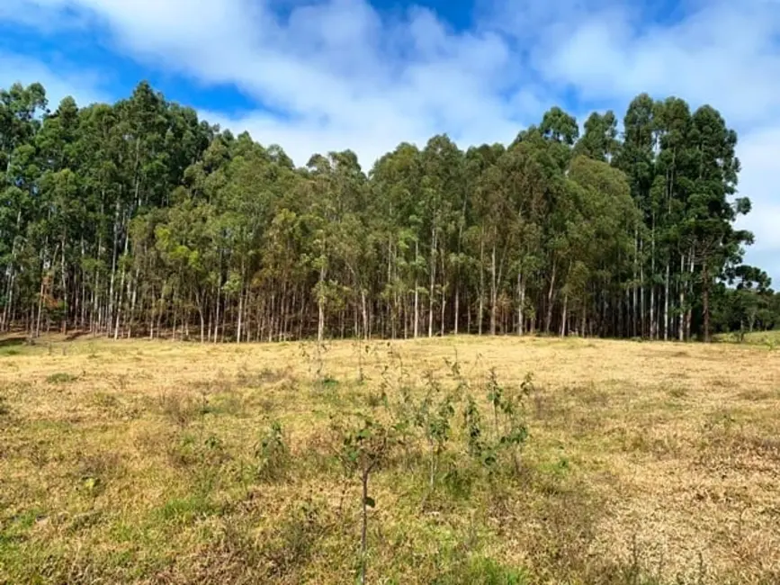 Foto 12 de Chácara à venda, 20000m2 em Cunha - SP