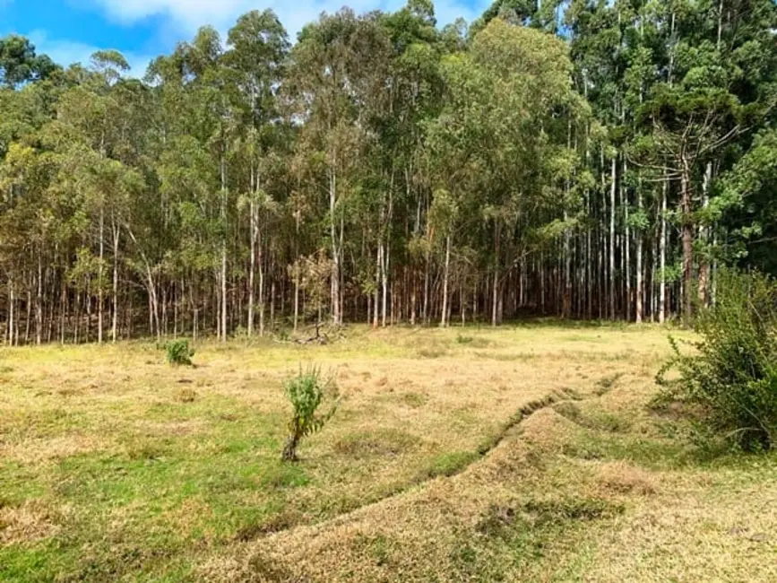 Foto 14 de Chácara à venda, 20000m2 em Cunha - SP