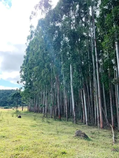 Foto 10 de Chácara à venda, 20000m2 em Cunha - SP