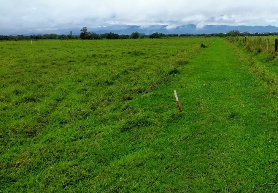 Foto 3 de Chácara à venda, 20000m2 em Cruz Pequena, Pindamonhangaba - SP
