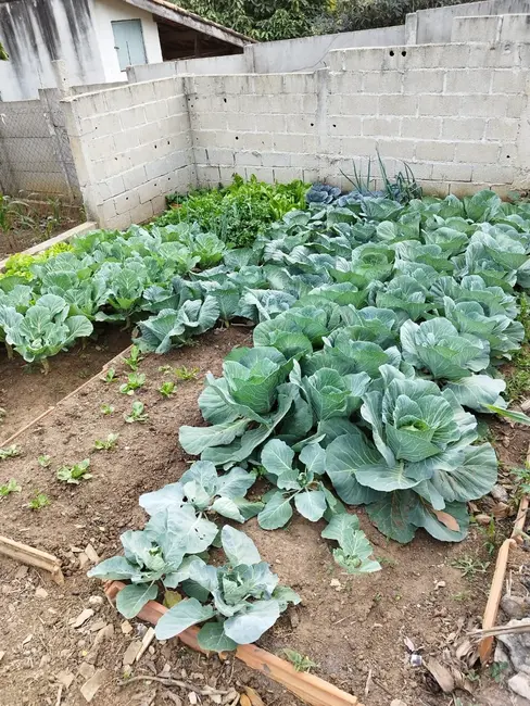 Foto 7 de Chácara com 1 quarto à venda em Goiabal, Pindamonhangaba - SP